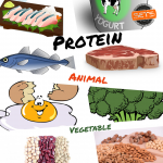 As melhores fontes de proteína.